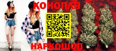 spice Рязань